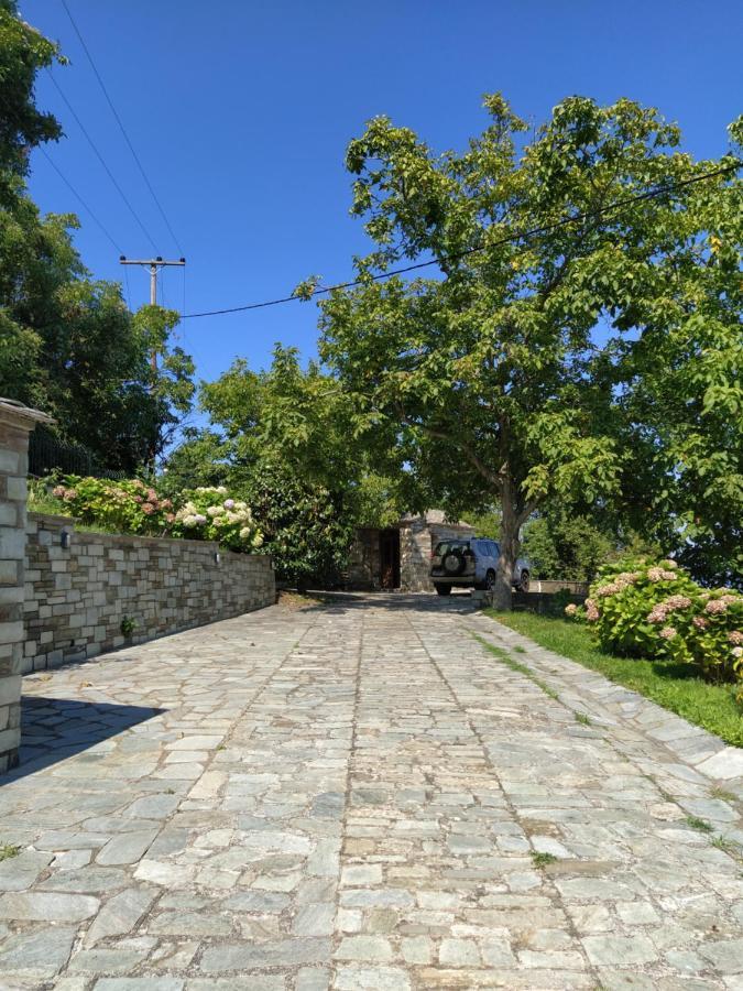 Villa Katerina Tsagkarada Extérieur photo