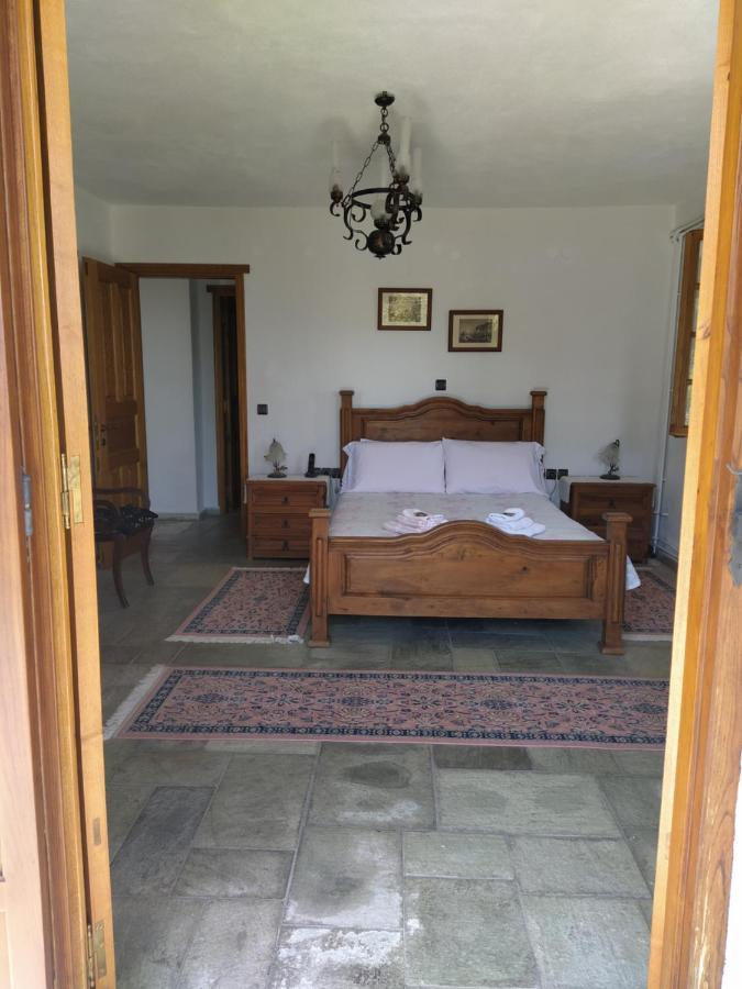 Villa Katerina Tsagkarada Extérieur photo