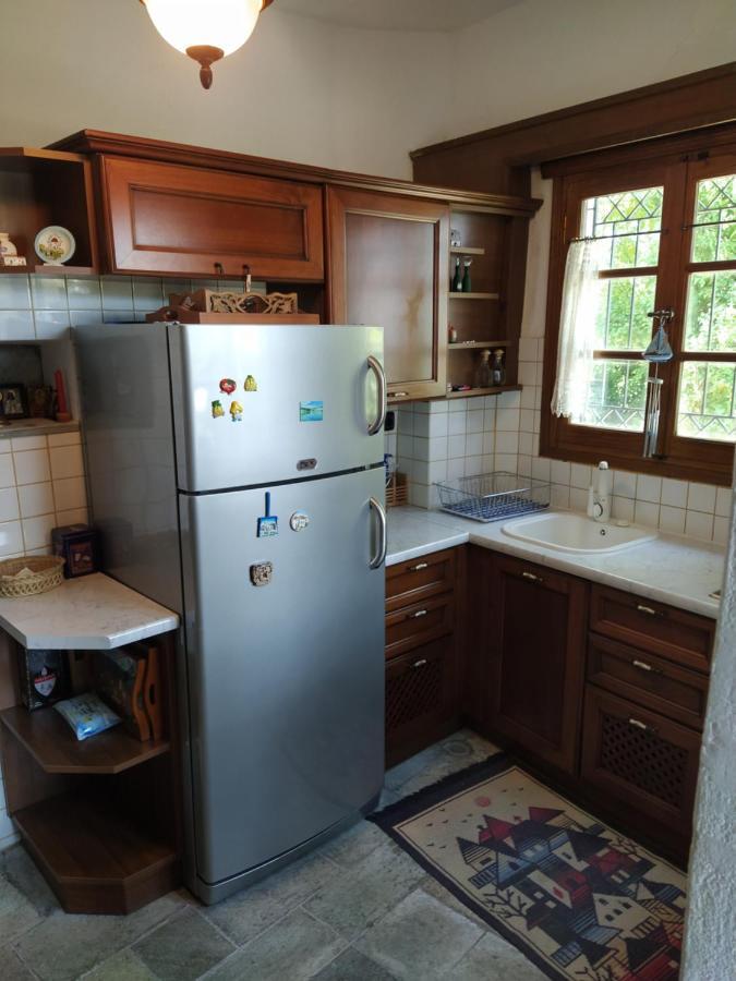 Villa Katerina Tsagkarada Extérieur photo